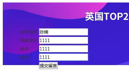 自定义表单，原始代码放到首页，提交后空白，后台也接收不到数据